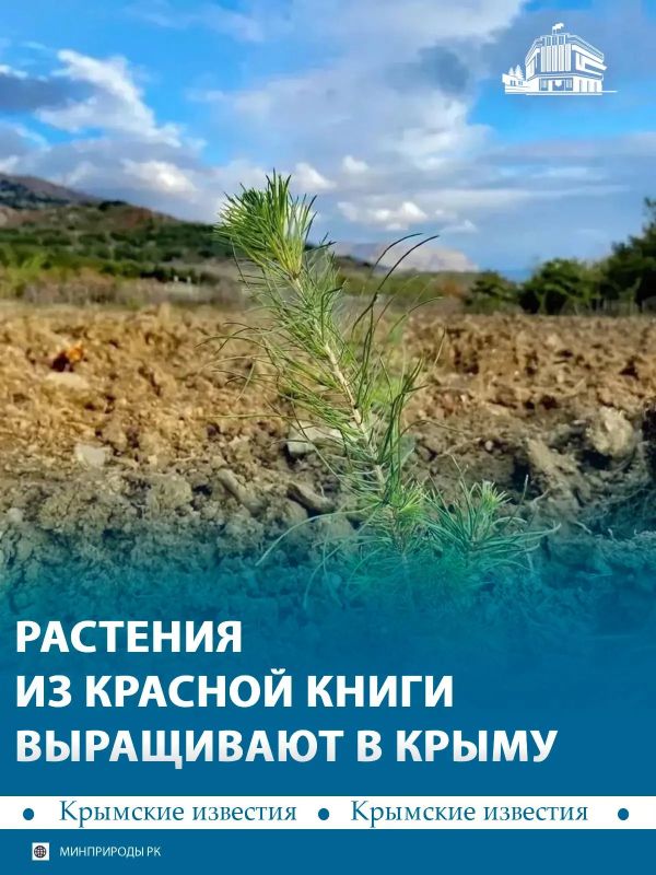 Растения из Красной книги выращивают в республике