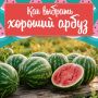 � ����� �������� �������� �����