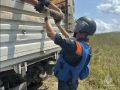 В Крыму уничтожили 10 боеприпасов времен Великой Отечественной войны