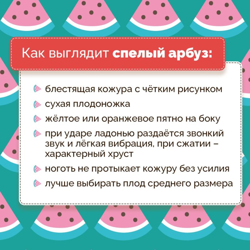 В Крыму стартует арбузный сезон В Крыму стартует арбузный сезон