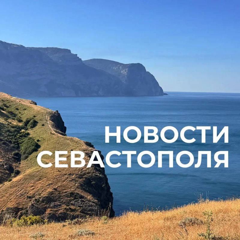 Михаил Развожаев: Коротко о главном:. QR-коды на топливо