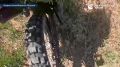 ���������� "������" ������������ ������� ������ �������� �� �������� � ����������� �������