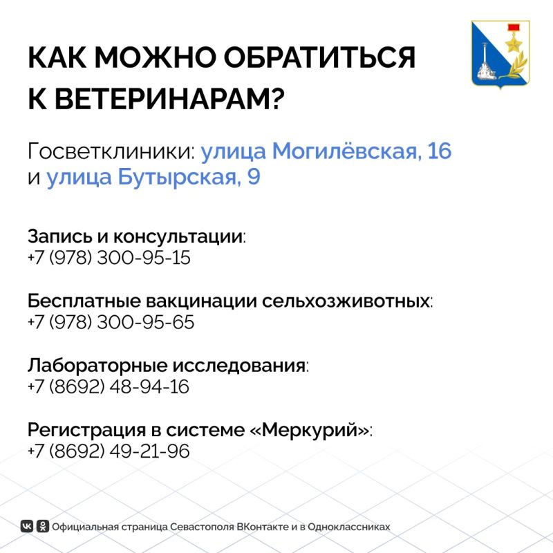 Животные Севастополя в порядке: госветслужба провела тысячи исследований и вакцинаций в июле Животные Севастополя в порядке: госветслужба провела тысячи исследований и вакцинаций в июле
