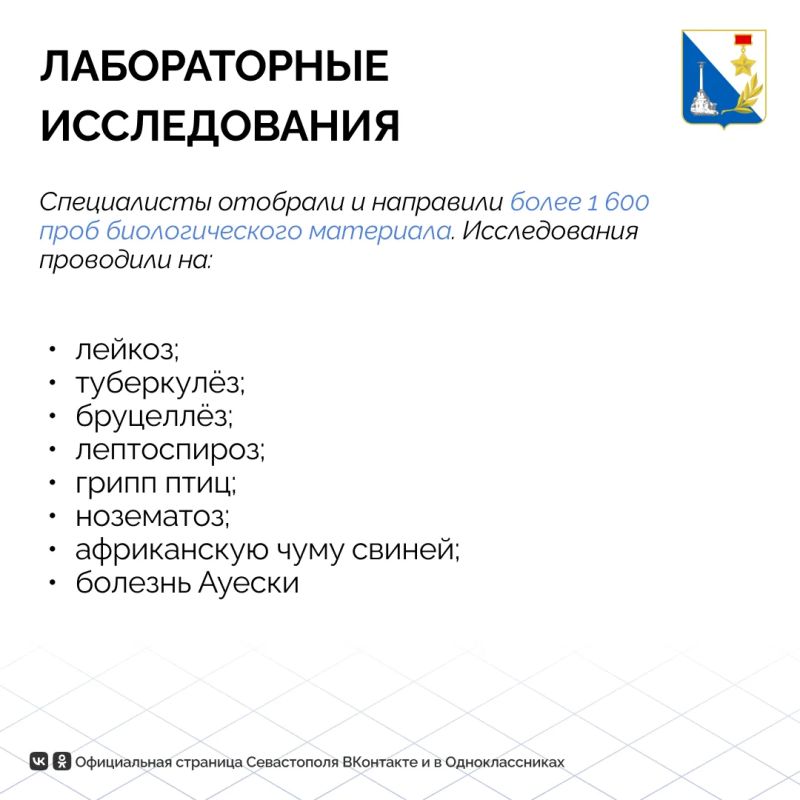 Животные Севастополя в порядке: госветслужба провела тысячи исследований и вакцинаций в июле Животные Севастополя в порядке: госветслужба провела тысячи исследований и вакцинаций в июле