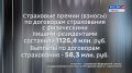 Крым в Цифрах: Деятельность страховых организаций Республики Крым в январе – марте 2026 года