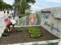 Озеленители «Комбината благоустройства» оформляют «цветочный календарь» и цветник из кактусов на набережной им. Горького