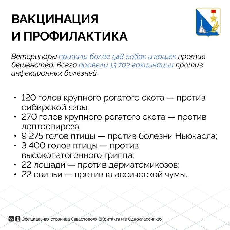 Животные Севастополя в порядке: госветслужба провела тысячи исследований и вакцинаций в июле Животные Севастополя в порядке: госветслужба провела тысячи исследований и вакцинаций в июле