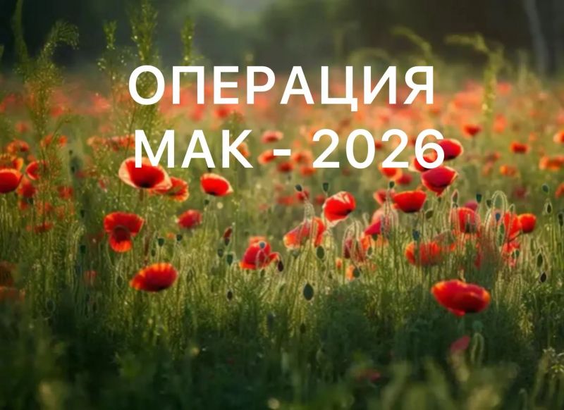 В МВД по Республике Крым стартует I этап оперативно?профилактической операции «Мак?2026»