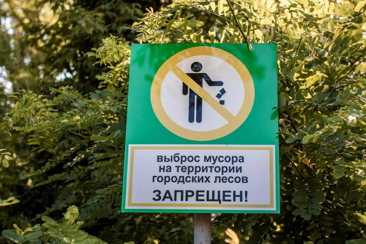 В Симферополе продолжаются работы по содержанию городских лесов
