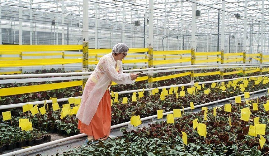 Превратить вкус в турмаршрут: Академия «Меганом» открывает регистрацию на программу для гастроэкскурсоводов Превратить вкус в турмаршрут: Академия «Меганом» открывает регистрацию на программу для гастроэкскурсоводов