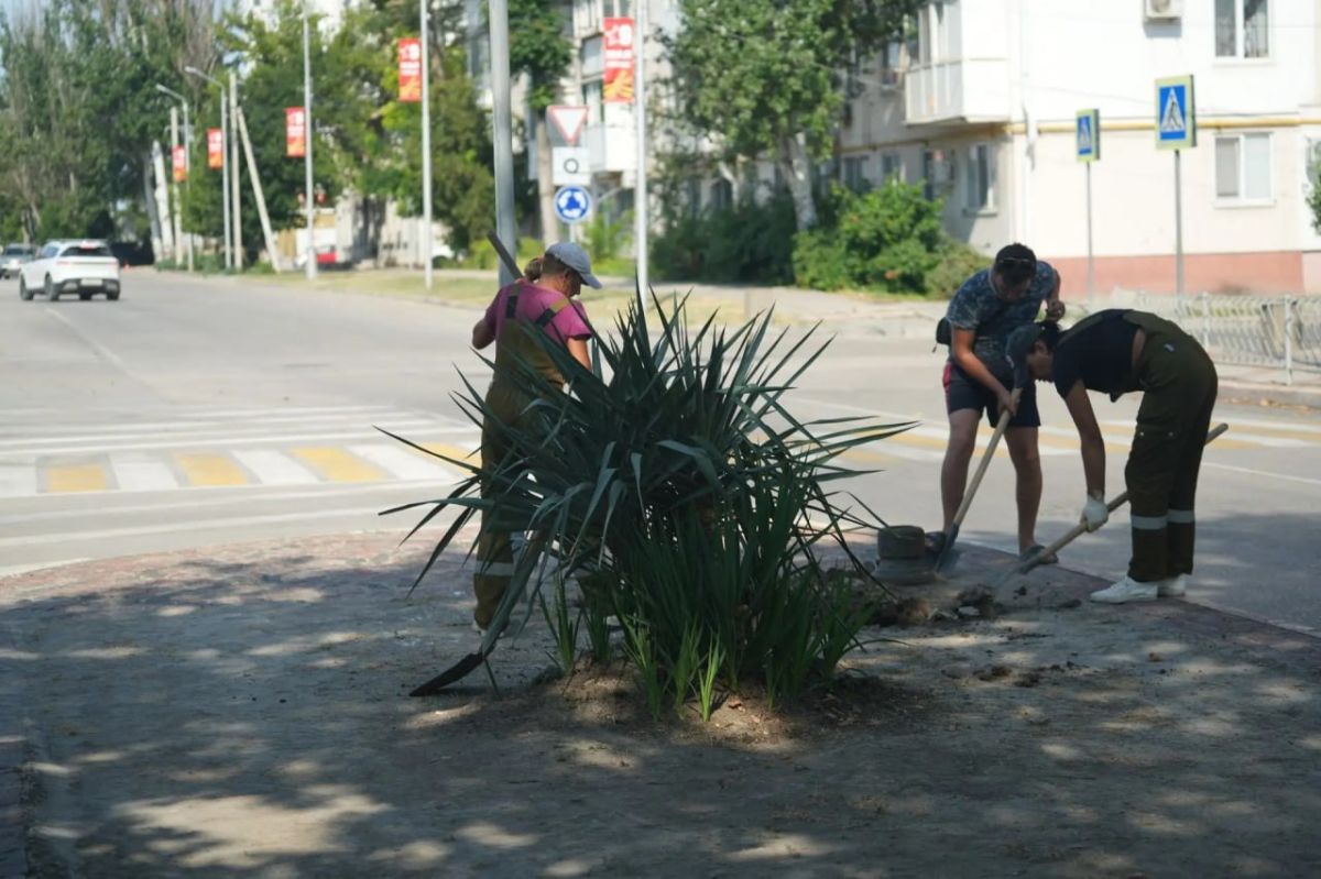 Сотрудники Службы городского хозяйства продолжают работу по городу в штатном режиме Сотрудники Службы городского хозяйства продолжают работу по городу в штатном режиме