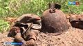 Поисковики обнаружили останки трёх советских бойцов у Мекензиевых гор