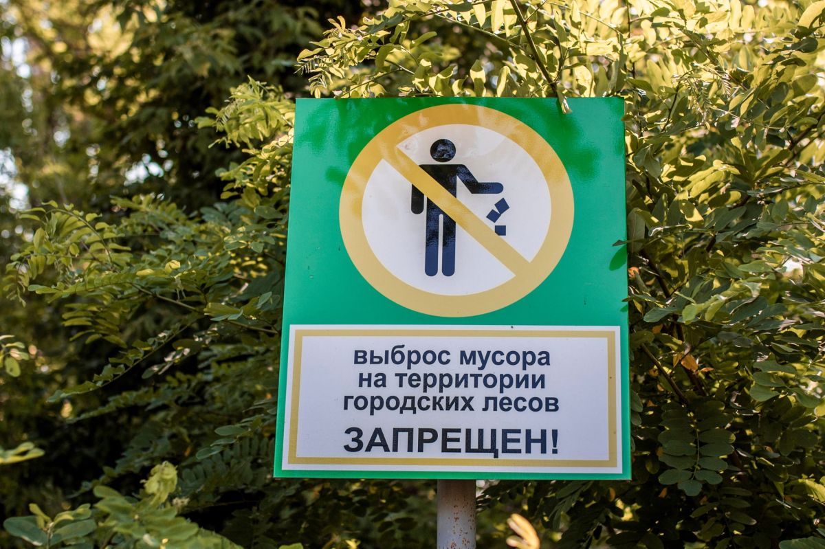 Михаил Афанасьев: Продолжаем работы по содержанию городских лесов и обеспечению противопожарной безопасности