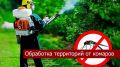 Уважаемые черноморцы!. Доводим до вашего сведения, что сегодня, 15 июля, с 5:00 до 17:00 на территории нашего посёлка будут проводиться плановые ларвицидные обработки — мероприятия по уничтожению личинок комаров