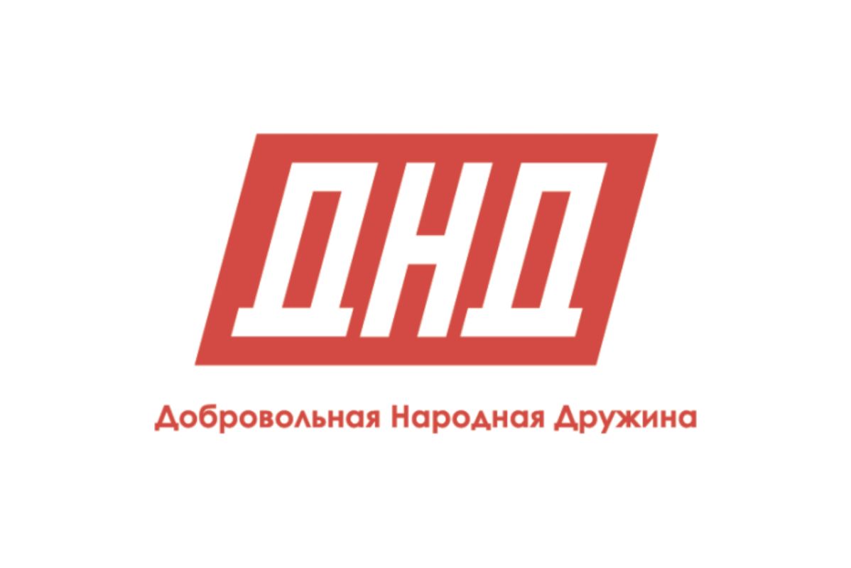 Добровольная народная дружина