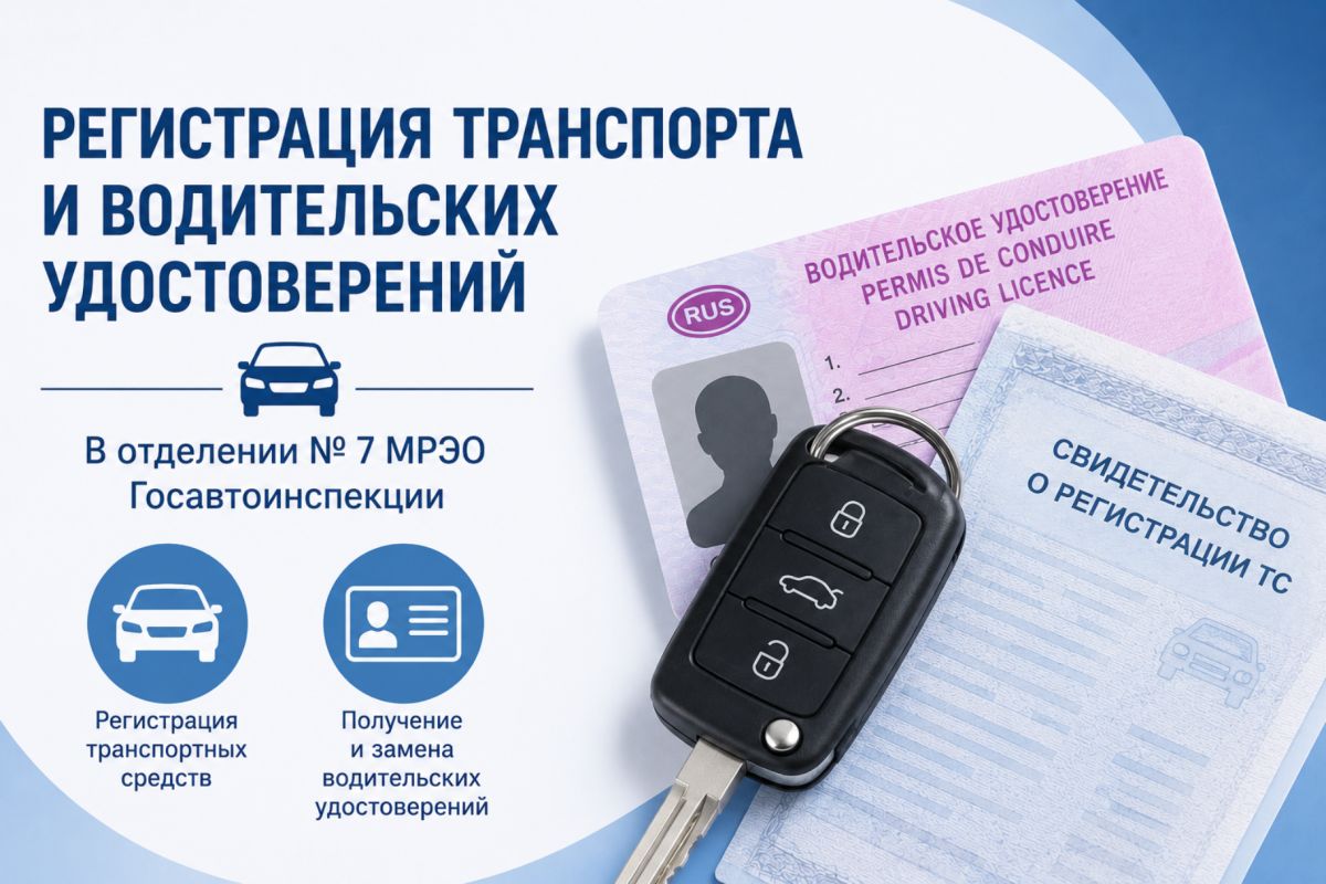 Регистрация транспортных средств и выдача водительских удостоверений осуществляются в отделении № 7