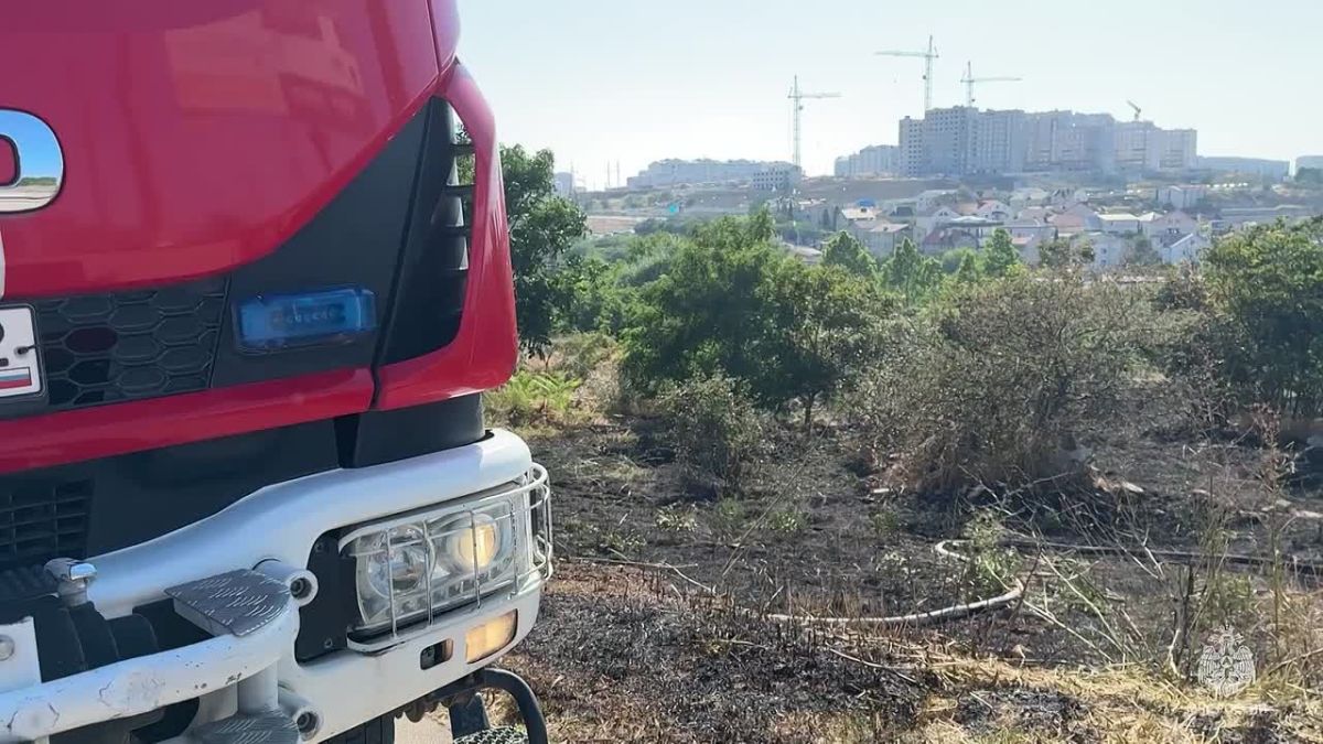 Сухостой на 800 "квадратах" горел в Севастополе – спасатели потушили огонь за полчаса