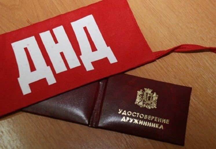 Добровольная народная дружина Добровольная народная дружина