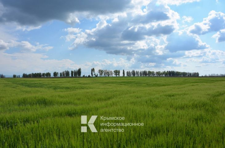 В Крыму снизили плату за аренду республиканского имущества и отсрочили платежи за землю
