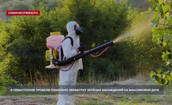 Обработки зелёных насаждений в Севастополе запланированы до конца лета Обработки зелёных насаждений в Севастополе запланированы до конца лета