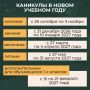 Минпросвещения РФ разработало рекомендации по организации каникул в 2026/2027 учебном году