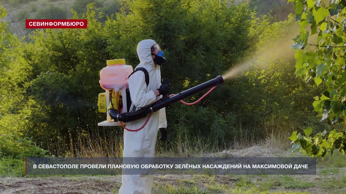 Обработки зелёных насаждений в Севастополе запланированы до конца лета