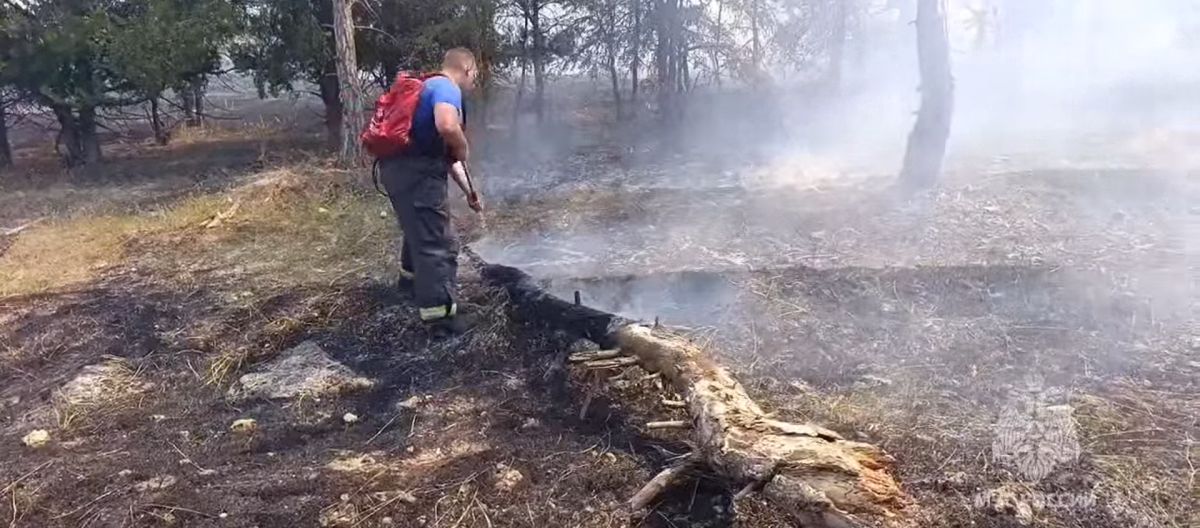 Возгорание сухой травы на площади в тысячу «квадратов» тушат в Евпатории