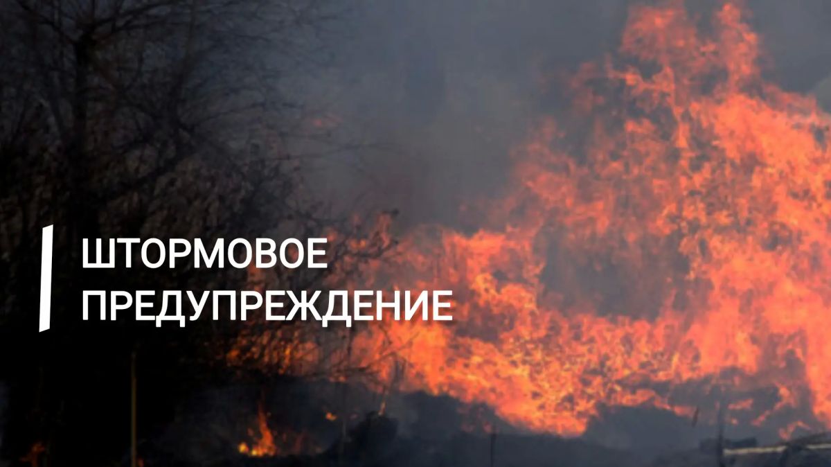 Экстренное предупреждение. 21-23 июля в центральных, западных и южных районах Крыма ожидается высокая пожарная опасность