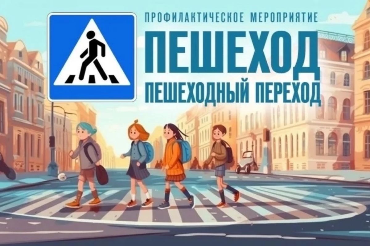 Профилактическое мероприятие «Пешеход. Пешеходный переход»