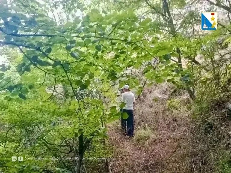 Наши спасатели в очередной раз продемонстрировали мастерство и спасли заблудившуюся туристку Наши спасатели в очередной раз продемонстрировали мастерство и спасли заблудившуюся туристку