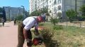Ежедневно бригады Службы городского хозяйства осуществляют уход за зелеными насаждениями Керчи