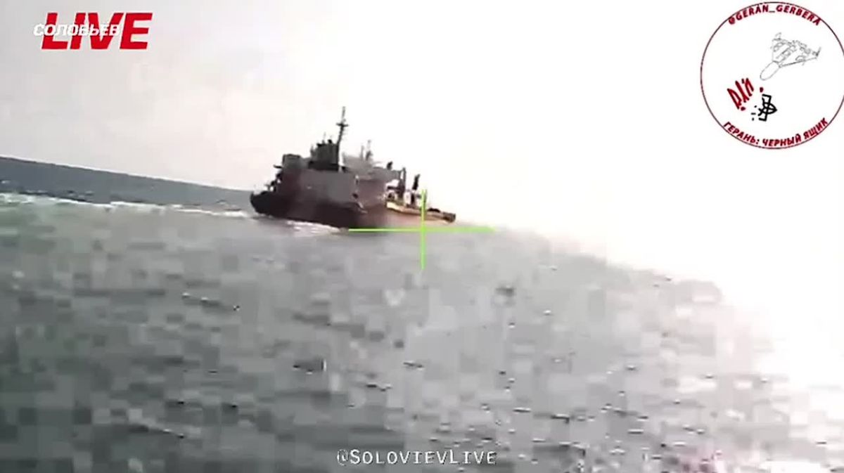 Спецоперация: ВС РФ точными ударами БПЛА «Гербера» и реактивных «Герань-4» уничтожили два балкера и сухогруз, задействованные в доставке грузов для ВСУ в акватории Черного моря