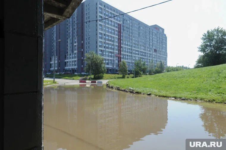 Челябинцы ловят рыбу в лужах в центре города Челябинцы ловят рыбу в лужах в центре города