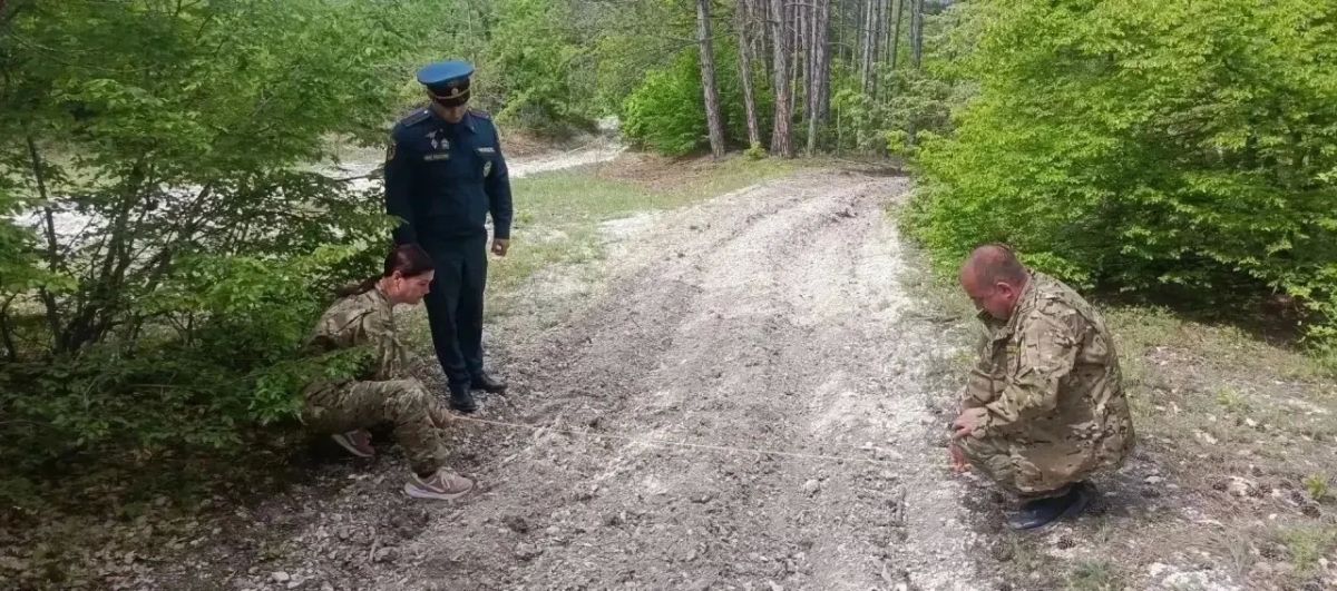 Безопасность леса – главный приоритет Безопасность леса – главный приоритет