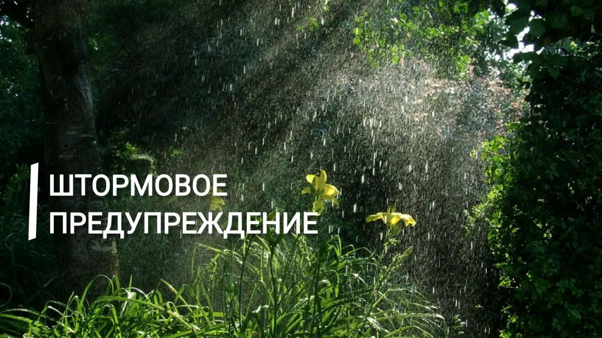 Экстренное предупреждение об опасных гидрометеорологических явлениях по Республике Крым на 22 июля 2026 года