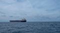 БПЛА атаковали турецкий сухогруз в Черном море