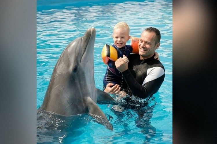 Скидываются по 200 рублей на минтай и хамсу: вся Россия кормит дельфинарий в Крыму Скидываются по 200 рублей на минтай и хамсу: вся Россия кормит дельфинарий в Крыму
