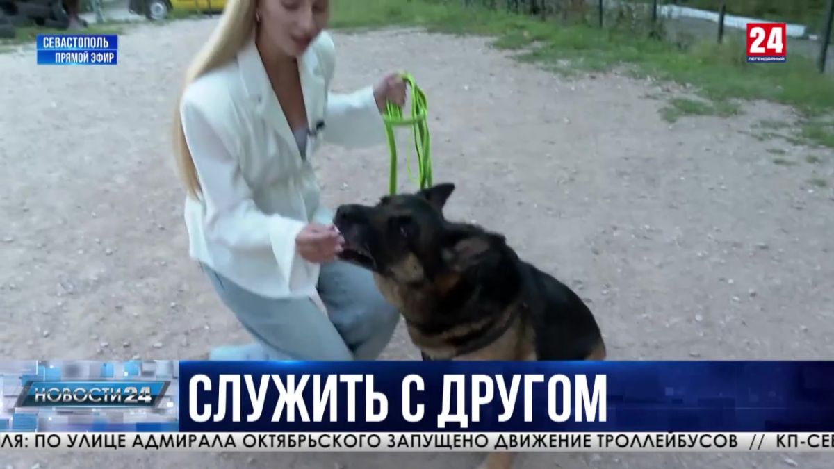 Подготовка призывников по военно-учётной специальности «Служебное собаководство» стартовала в Севастополе