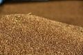 ������� ������ ����������� ������ ���������� �� ��������� ��������