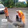 ���� ����������� ������ � ���������� ����������� �����, ���� ��� ����� ����������