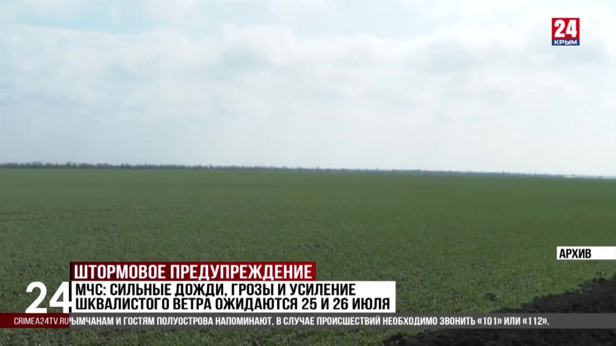 МЧС: сильные дожди, грозы и усиление шквалистого ветра ожидаются 25 и 26 июля