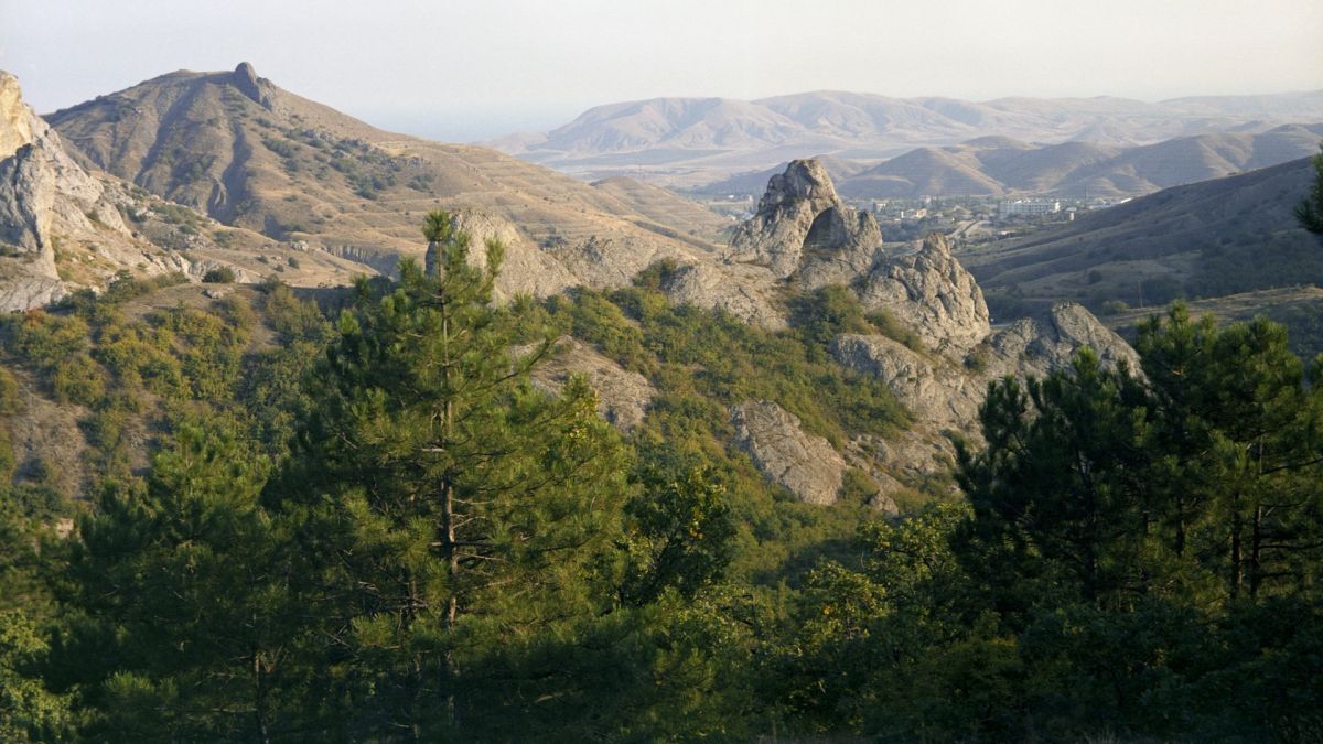 Почему возникают пожары в лесах Крыма