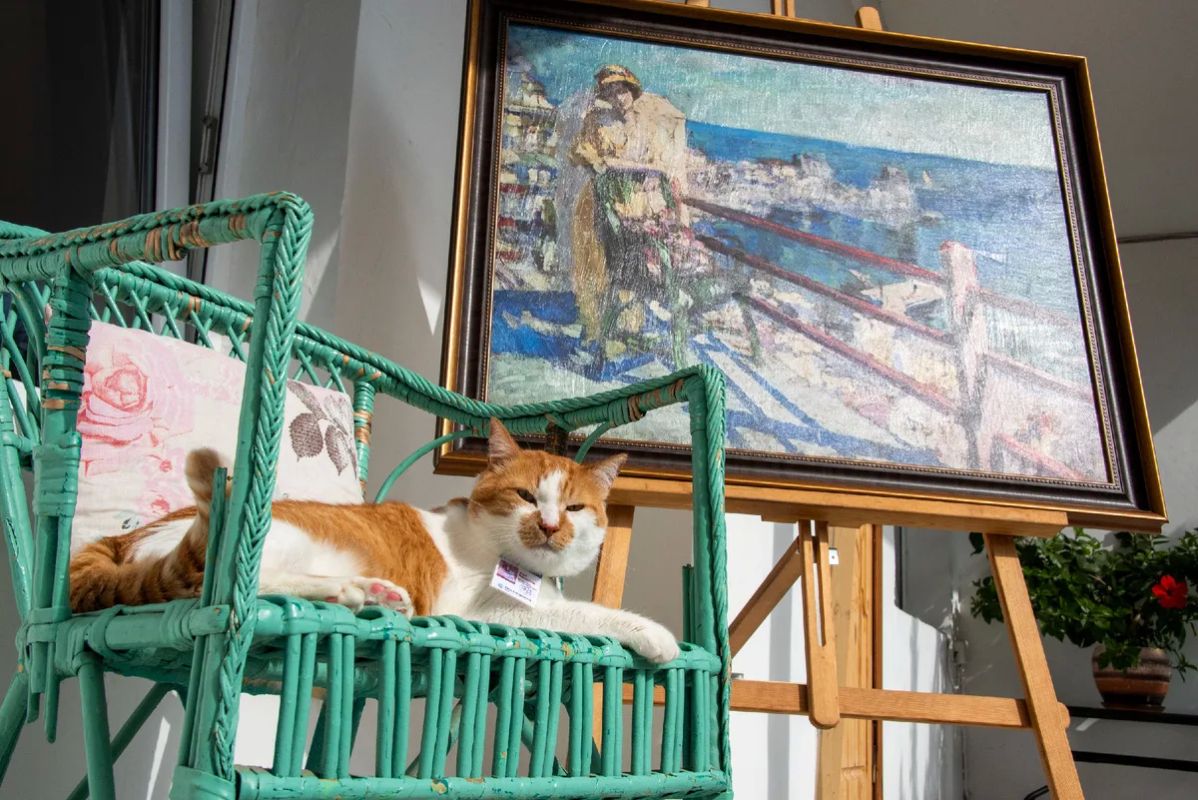 Кот Мостик: Город котиков и инжира. Место встречи моря и гор, пропитанное ароматом кипарисов и морепродуктов