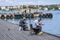 В Крыму разгар летней разнорыбицы