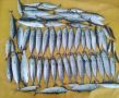 � ������� ����� �������� ������������� ������� ������� ������� ����