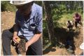 В Севастополе нашли останки трёх красноармейцев