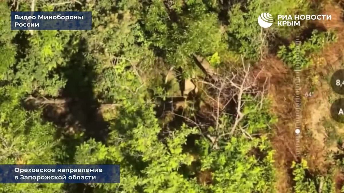 Дроноводы уничтожают технику ВСУ и координируют штурм на Ореховском направлении