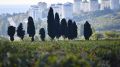 Новости Крыма – что произошло в ночь на четверг