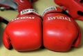 World Boxing допустила россиян к участию в соревнованиях с флагом и гимном