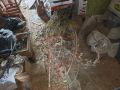 В Симферопольском районе полицейские пресекли незаконное хранение частей наркосодержащего растения в крупном размере
